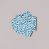 Dappled Blue Pack of Envelopes