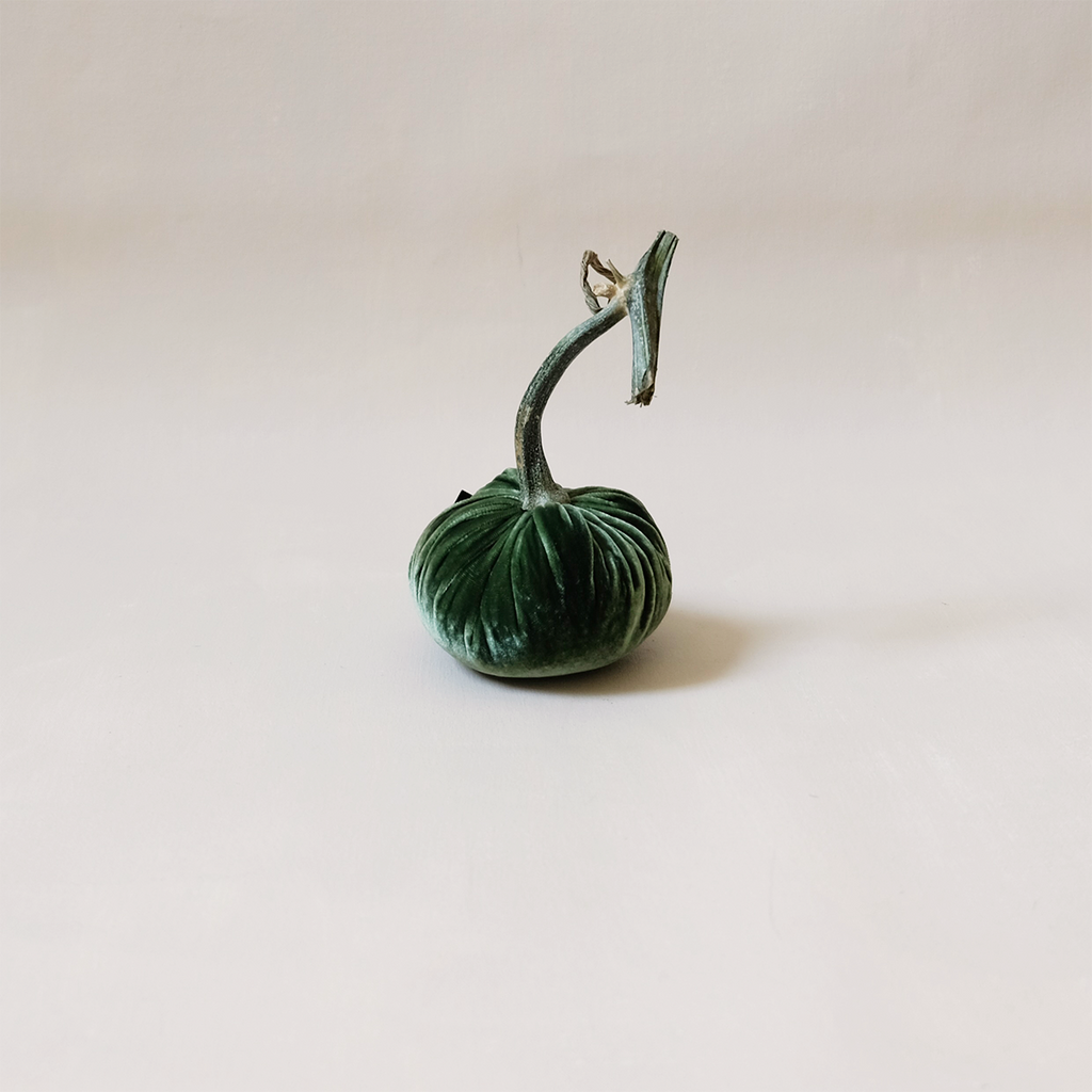 Silk Velvet Pumpkin Sage