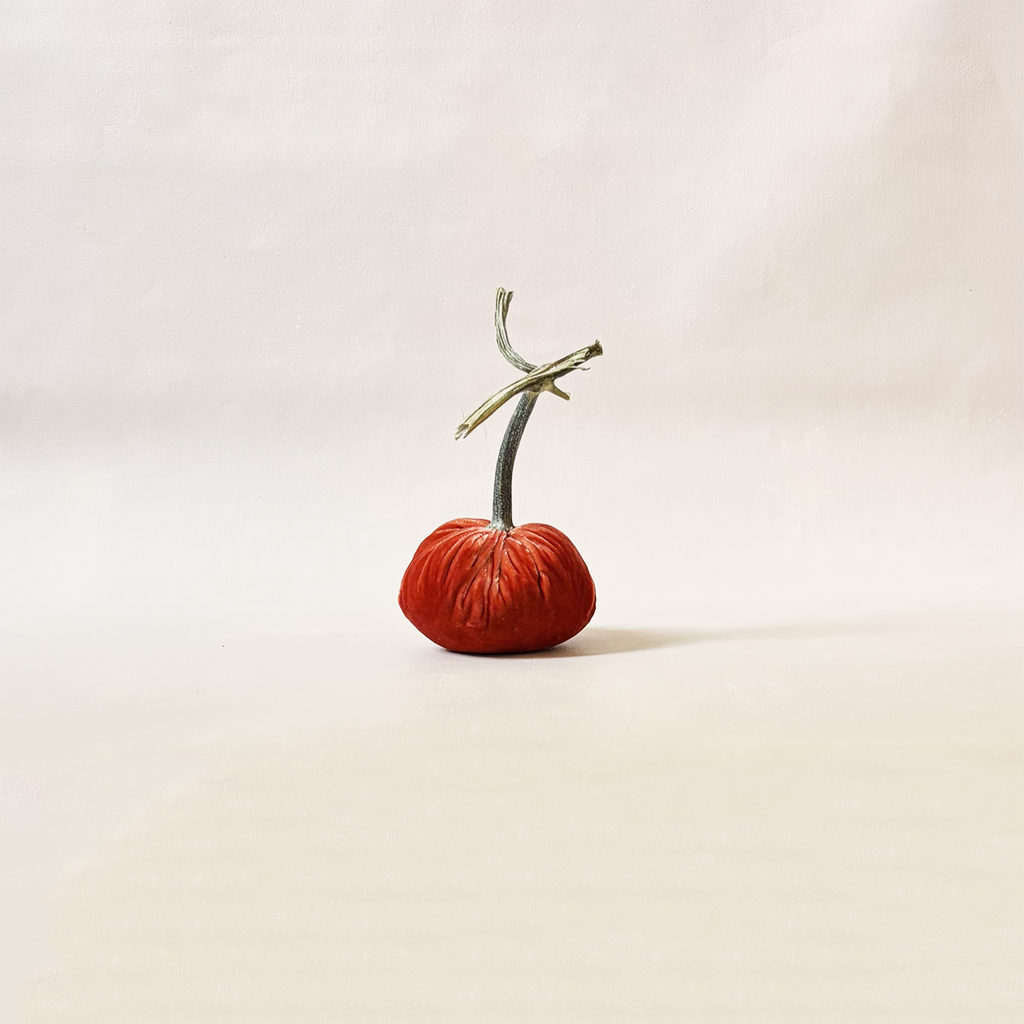 Silk Velvet Pumpkin Salmon