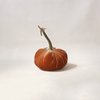 Silk Velvet Pumpkin Spice