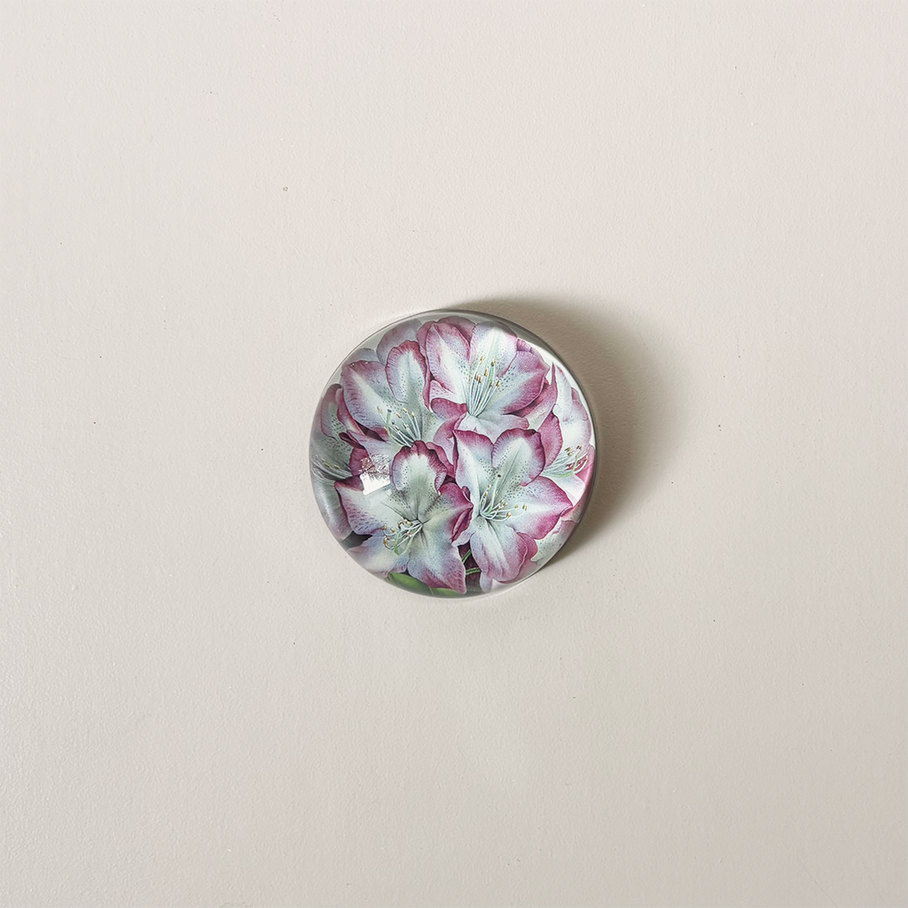 Dome Paperweight, Princess of Wales Rhododendron