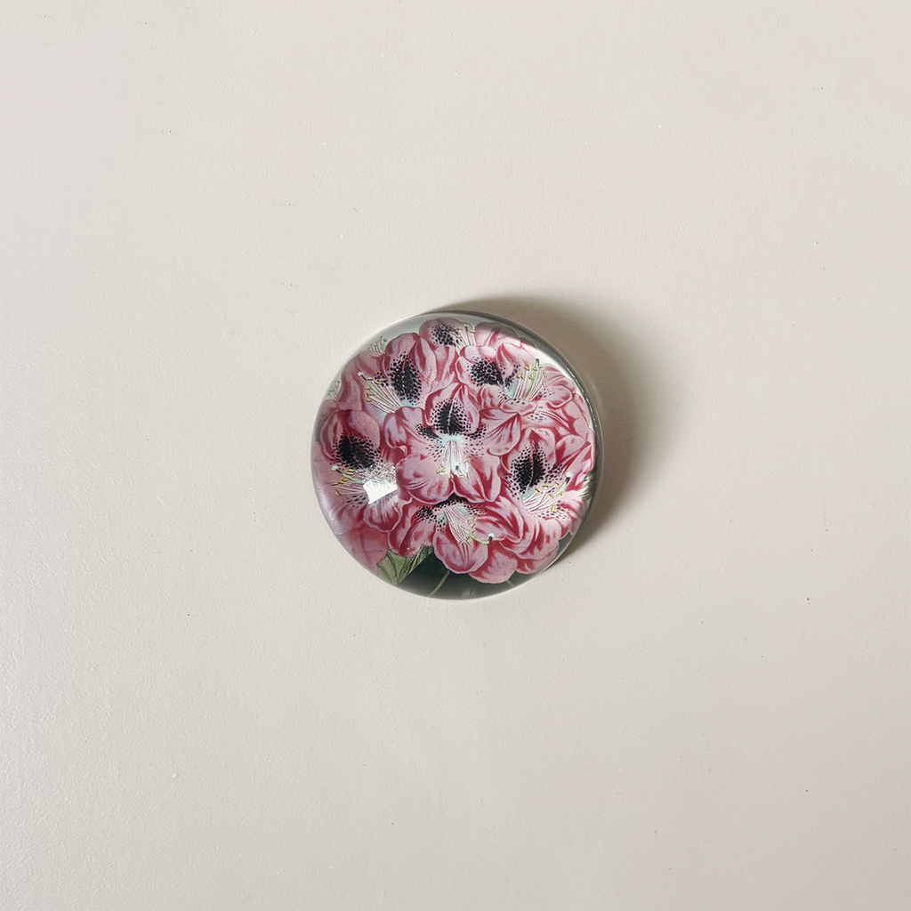 Dome Paperweight, Stamfordianum Rhododendron