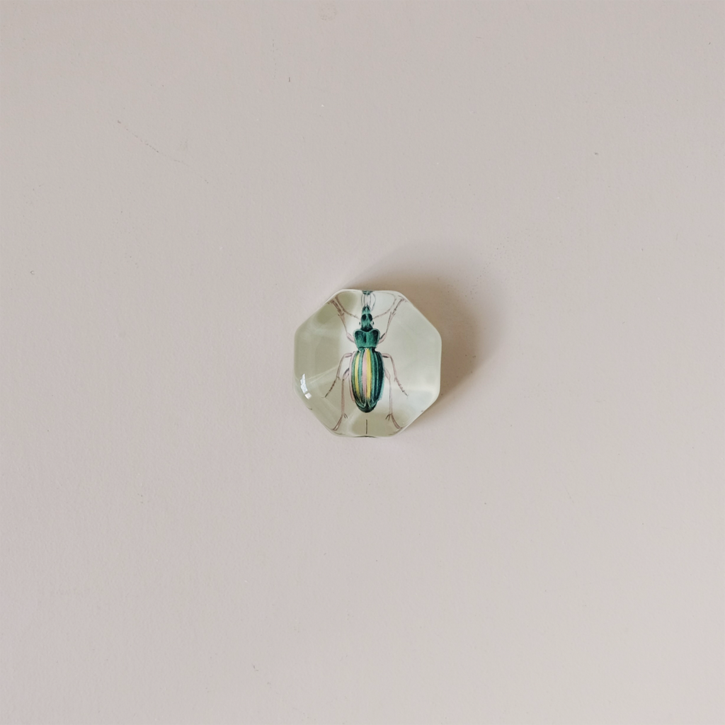 Octagonal Charm Paperweight, Carabus Auratus