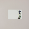 Iris Garden Note Card Set