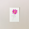 Cosmos Dark Pink Note Card
