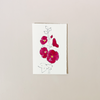 Hollyhock Dark Red Note Card