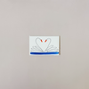 Swans Love Note Card