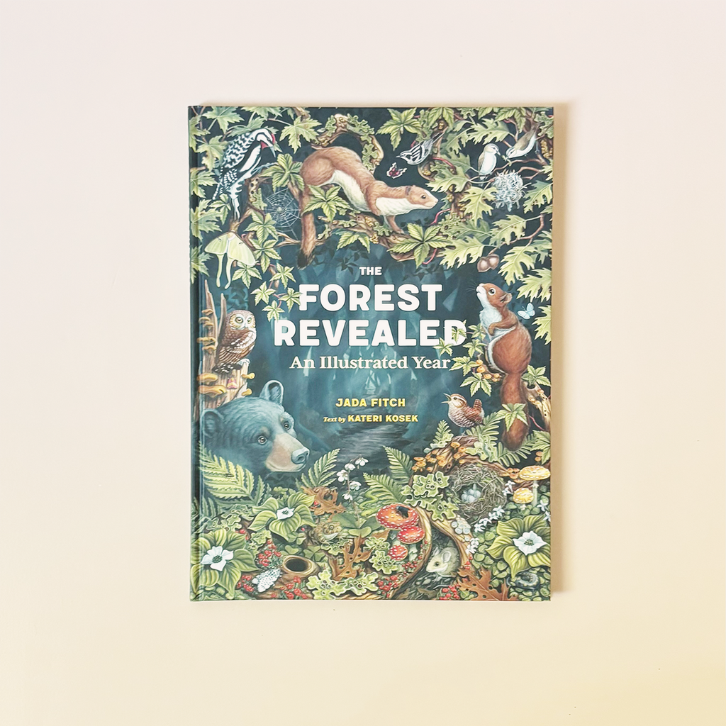 The Forest Revealed