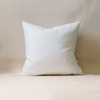 Square Pillow Insert