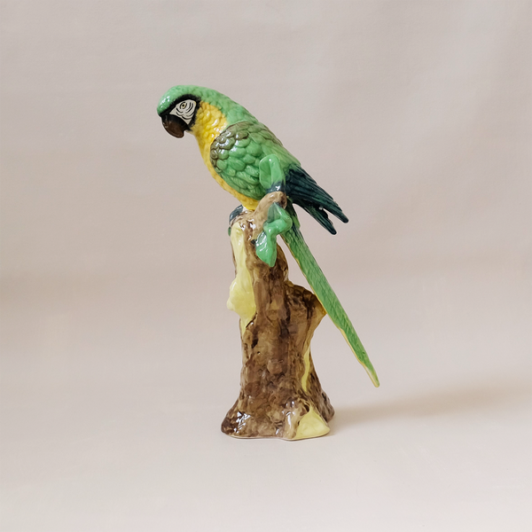 Parrot
