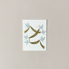 Happily Ever After Birds Note Card