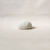 Coral Shaped LED Light Small