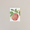 Apple of My Eye Note Card
