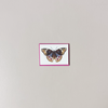 Butterfly Mini Note Card