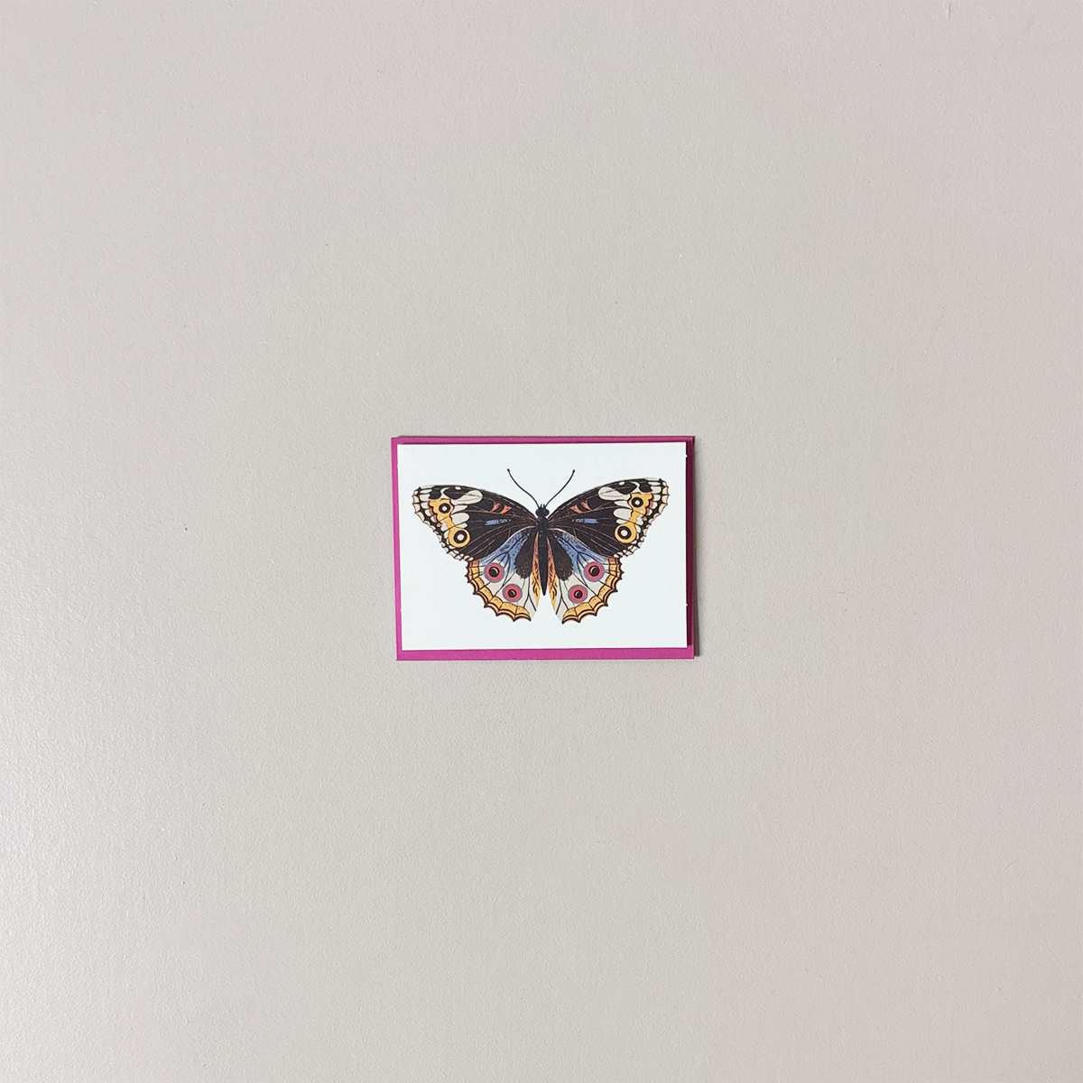 Butterfly Mini Note Card – Holliday