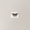 Butterfly Mini Note Card
