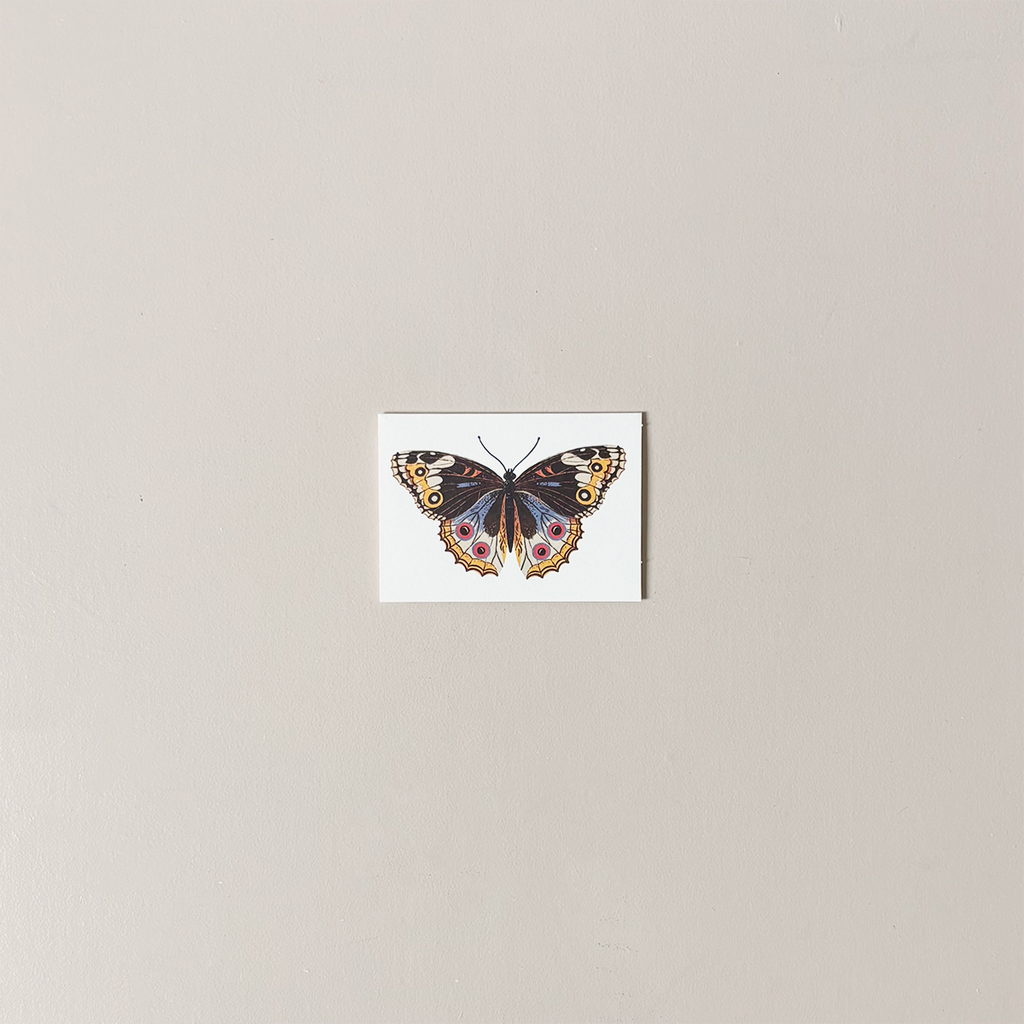 Butterfly Mini Note Card