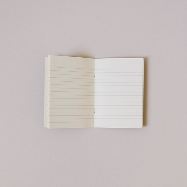 Sea Urchin Sky & Cocoa Pocket Notebook