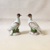 Tern Pair