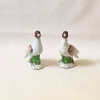 Tern Pair