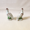Tern Pair