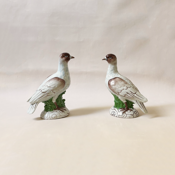 Tern Pair