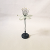 Botanical Model Ivory