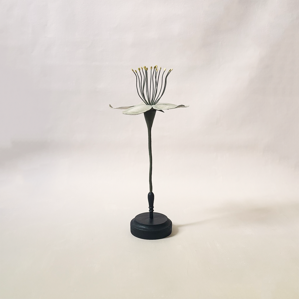 Botanical Model Ivory