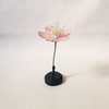 Botanical Model Rouge