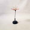 Botanical Model Rouge