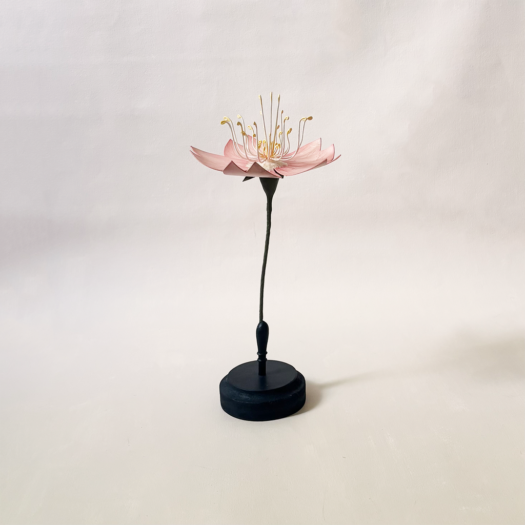 Botanical Model Rouge
