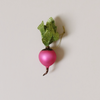 Field Radish Ornament