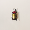 Forest Floor Bugs Ornament