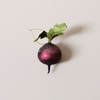 Heirloom Beet Ornament