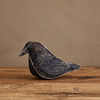 Blackbird of Mystery