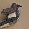 Blackbird of Mystery