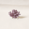 Coral Resin Decor Plum