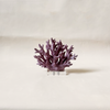 Coral Resin Decor Plum