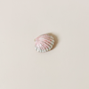 Enameled Shell Trinket Box