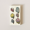 18th Century Shells Matches