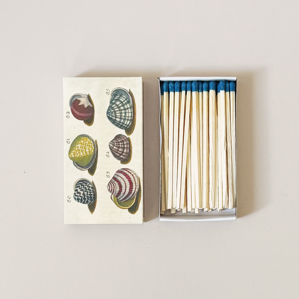 18th Century Shells Matches