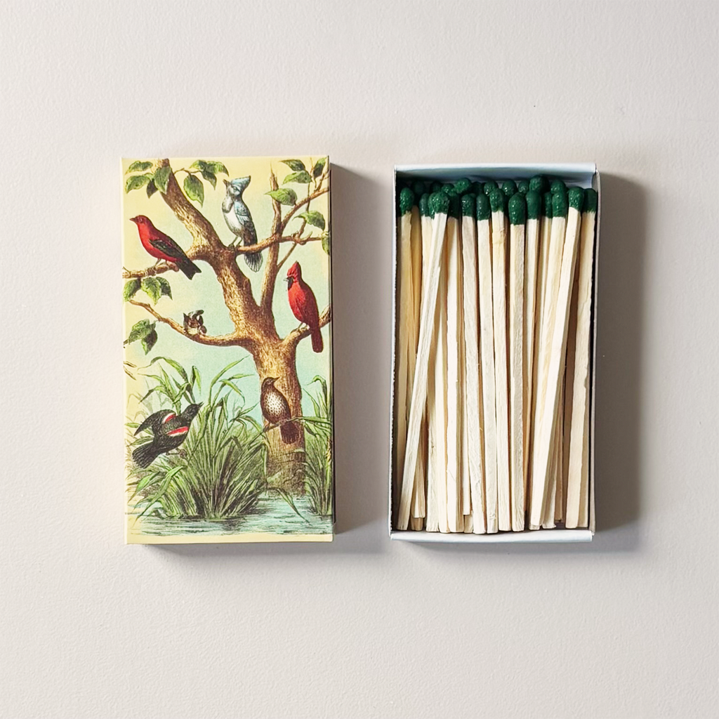 Bird Studies Matches