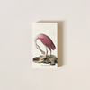 Flamingo & Spoonbill Matches