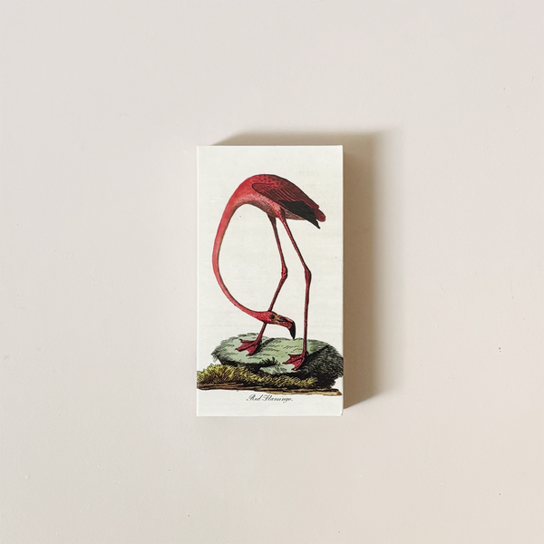 Flamingo & Spoonbill Matches