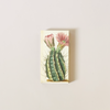 Flowering Cactus Matches