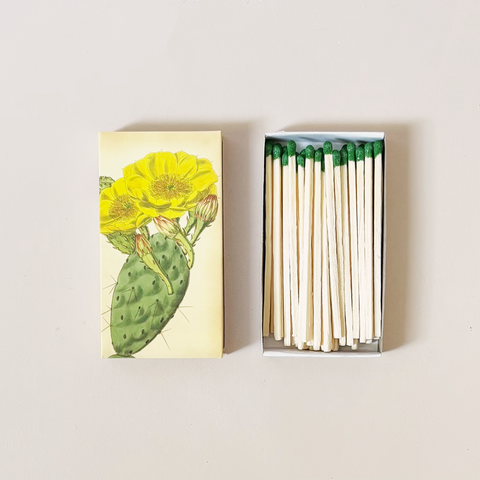 Flowering Cactus Matches
