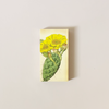 Flowering Cactus Matches