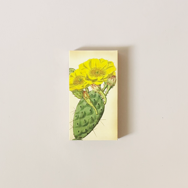 Flowering Cactus Matches