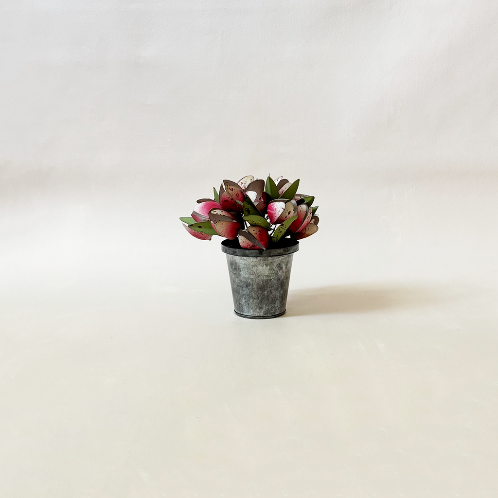 Metal Potted Tulips & Greens