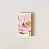 Painted Lily Matches